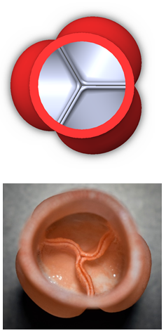 PrintedValve