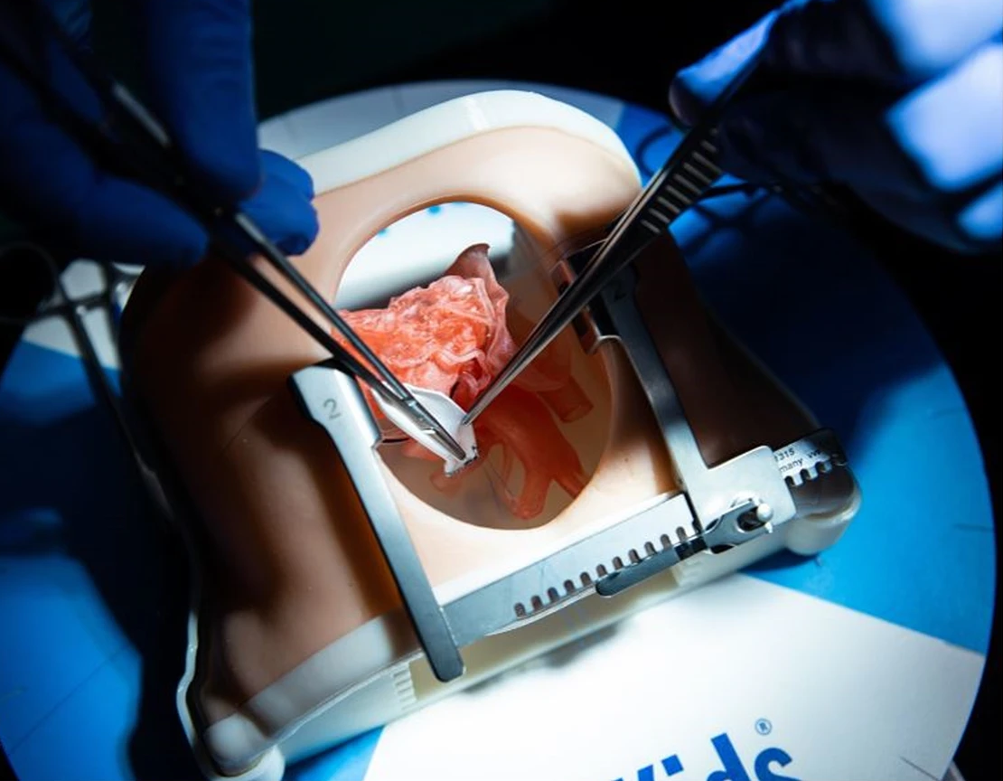 3D printed heart Being operated on simulator